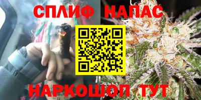 дмт Славгород