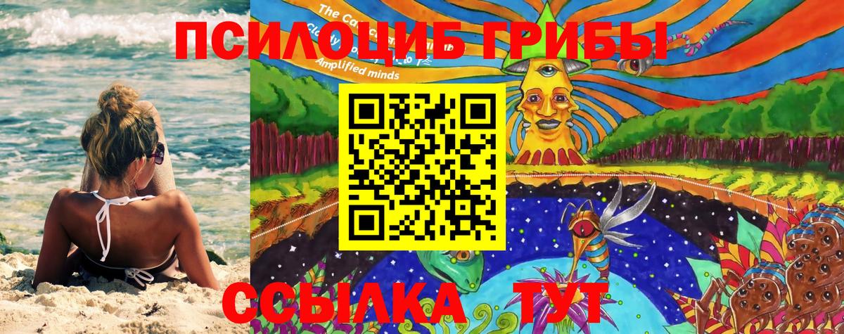 Ртищево  Галлюциногенные грибы Psilocybe  Вход с VPN 